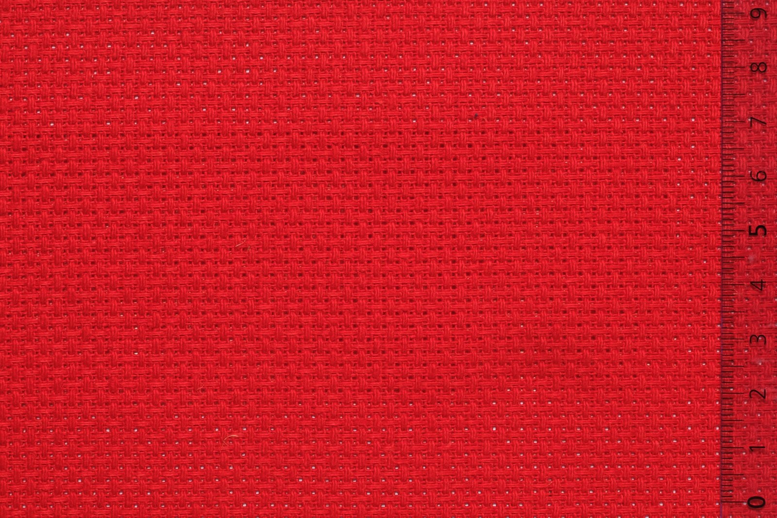 06AID40REDxxxCOT[AIDAMAS 40](RED)F